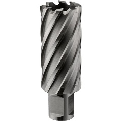 Изображение товара Кольцевая фреза ROTORICA HSS 29x55 RT.4215029 для точной обработки металлов и дерева