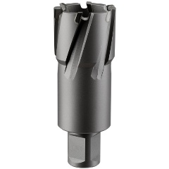 Изображение товара Кольцевая фреза ROTORICA TCT 13x55 RT.4225013