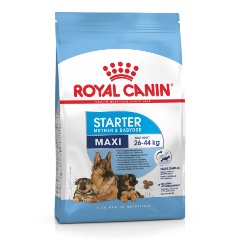 Изображение товара Сухой корм для щенков крупных пород Royal Canin Maxi Starter в период отъема до 2 месячного возраста, беременных и кормящих сук 15кг