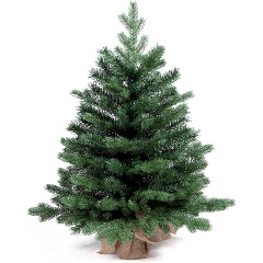 Изображение товара Ель искусственная Royal Christmas Spitsbergen PE/ PVC Table - 75 см