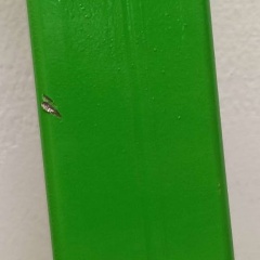 Изображение товара Ручка для транспортной платформы CRA 6 (8, 12т), Euro-Lift (Уценка)