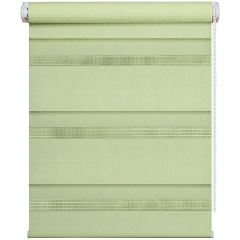 Изображение товара Рулонная штора DDA День-Ночь фисташковая, 140х170