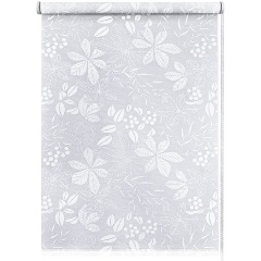 Изображение товара Рулонная штора Эскар Торонто 90х160 белая светопроницаемая с цепочным механизмом