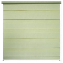 Изображение товара Рулонная штора УЮТ День-Ночь Канзас 50х160 фисташковая легкая фиксация