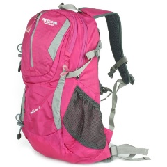 Изображение товара Рюкзак POLAR П1535, розовый