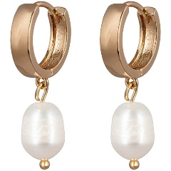 Изображение товара Серьги Fiore Luna AL4503 G