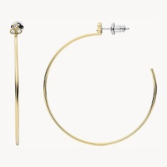 Изображение товара Серьги Fossil JF04111710