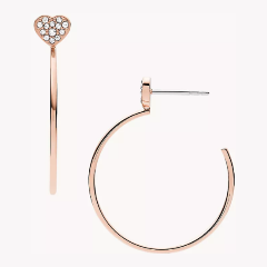 Изображение товара Стильные серьги FOSSIL JOF00664791 из нержавеющей стали с кристаллами