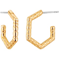 Изображение товара Серьги Just Cavalli JCER01743200