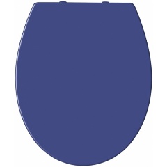 Изображение товара Сиденье для унитаза Ridder Miami О2101133, с крышкой, синий