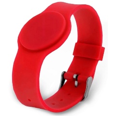 Изображение товара Smart-браслет Tantos TS с застёжкой (красный)