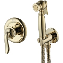 Изображение товара Смеситель для биде Lemark Brava LM4719G с гигиеническим душем встраиваемый