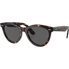 Изображение товара Очки Ray-Ban 0RB2241F902/B154 коричневые солнцезащитные для мужчин