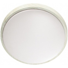 Изображение товара Настенно-потолочный светодиодный светильник Sonex Losta 7628/EL