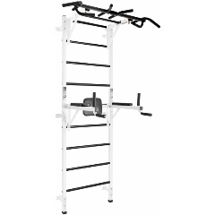 Изображение товара Спортивный комплекс Flexter Vorren Profi Формула здоровья с навесными турником и брусьями