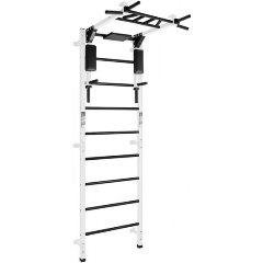 Изображение товара Спортивный комплекс с турником-брусьями Flexter Forman Profi, белый/чёрный