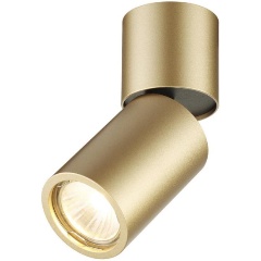 Изображение товара Спот Odeon Light Duetta 3895/1C.