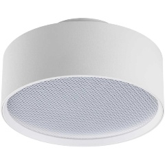 Изображение товара Накладной светильник Lightstar Acuto 215936 для прихожей белый металл 24 Вт