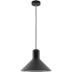 Изображение товара Подвесной светильник Camelion PL-602L C02 черный Rome, 1х E27, 40Вт, 230