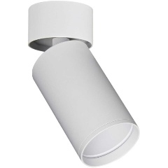 Изображение товара Потолочный светильник ST Luce ST171.502.01