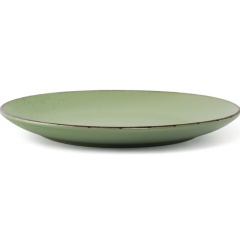 Изображение товара Тарелка обеденная DOMENIK OH!SPLASH зеленый 24 см (DMD171)