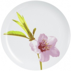 Изображение товара Тарелка обеденная LUMINARC УОТЕР КОЛОР 27 см