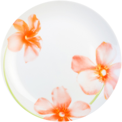 Изображение товара Тарелка суповая LUMINARC СВИТ ИМПРЕШН 20 см (V3558)