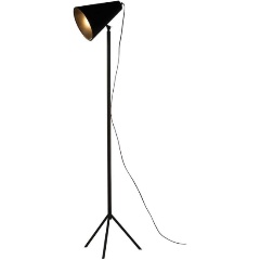 Изображение товара Торшер Lussole Lgo Cozy LSP-0563.