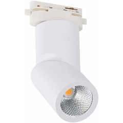 Изображение товара Трековый светильник ST Luce ST650.546.10