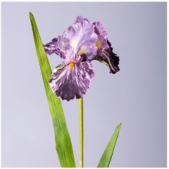 Изображение товара Цветок искусственный LEFARD "ирис" 90 см.