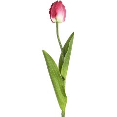 Изображение товара Цветок искусственный на ножке Gloria Garden "Тюльпан малиновый", 67 см