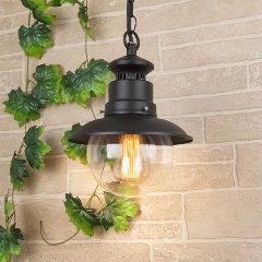 Изображение товара Подвесной уличный светильник Elektrostandard Talli H GL 3002H черный