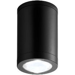 Изображение товара Потолочный уличный светильник Escada 30008P/01