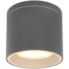 Изображение товара Потолочный уличный светильник Globo Alcala 32063A.