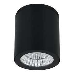 Изображение товара Потолочный уличный светильник Arte Lamp Torcular A1813PF-1BK