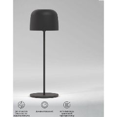 Изображение товара Ландшафтный светильник Elektrostandard Bitty черный TL70260 a069002