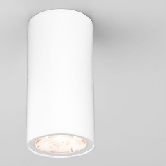 Изображение товара Потолочный уличный светильник Elektrostandard Light 35129/H белый a056257