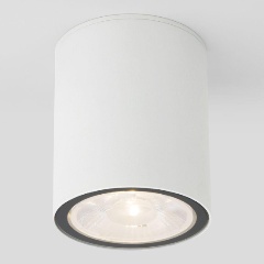 Изображение товара Потолочный уличный светильник Elektrostandard Light 35131/H белый a056230