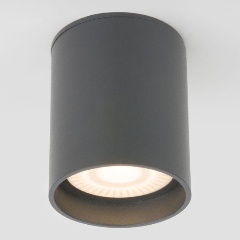 Изображение товара Потолочный уличный светильник Elektrostandard Light Led 35130/H серый a056270