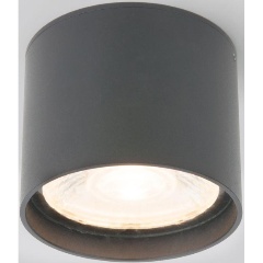 Изображение товара Потолочный уличный светильник Elektrostandard Light Led 35132/H серый a056271
