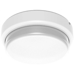 Изображение товара Потолочный уличный светильник Gauss 126411312-S.