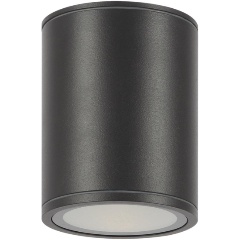 Изображение товара Потолочный уличный светильник Maytoni Bar O306CL-L12GF