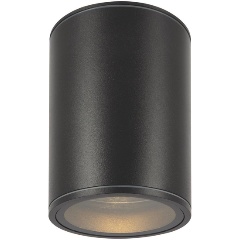 Изображение товара Потолочный уличный светильник Maytoni Bar O306CL-L7GF