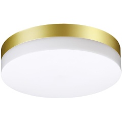 Изображение товара Потолочный уличный светильник Novotech Opal 358884