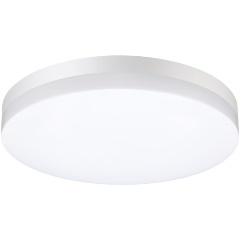 Изображение товара Потолочный уличный светильник Novotech Opal 358889