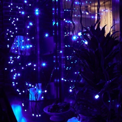 Изображение товара Занавес светодиодный с эффектом мерцания соедниняемый Uniel ULD-C2030-240-TBK BLUE IP67 3х2м. 240 светодиодов. Синий свет. Провод черный, UL-00003936