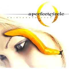Изображение товара Виниловая пластинка A PERFECT CIRCLE - Thirteenth Step (2LP)