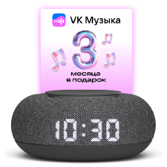 Изображение товара Умная колонка VK Капсула Мини с голосовым помощником Маруся, Темный серый