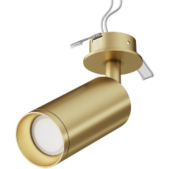 Изображение товара Встраиваемый спот Maytoni Focus C018CL-01MG