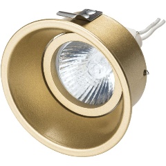 Изображение товара Встраиваемый светильник Lightstar Domino Round 214603